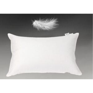 Pillow Feather